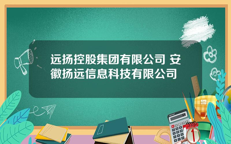 远扬控股集团有限公司 安徽扬远信息科技有限公司